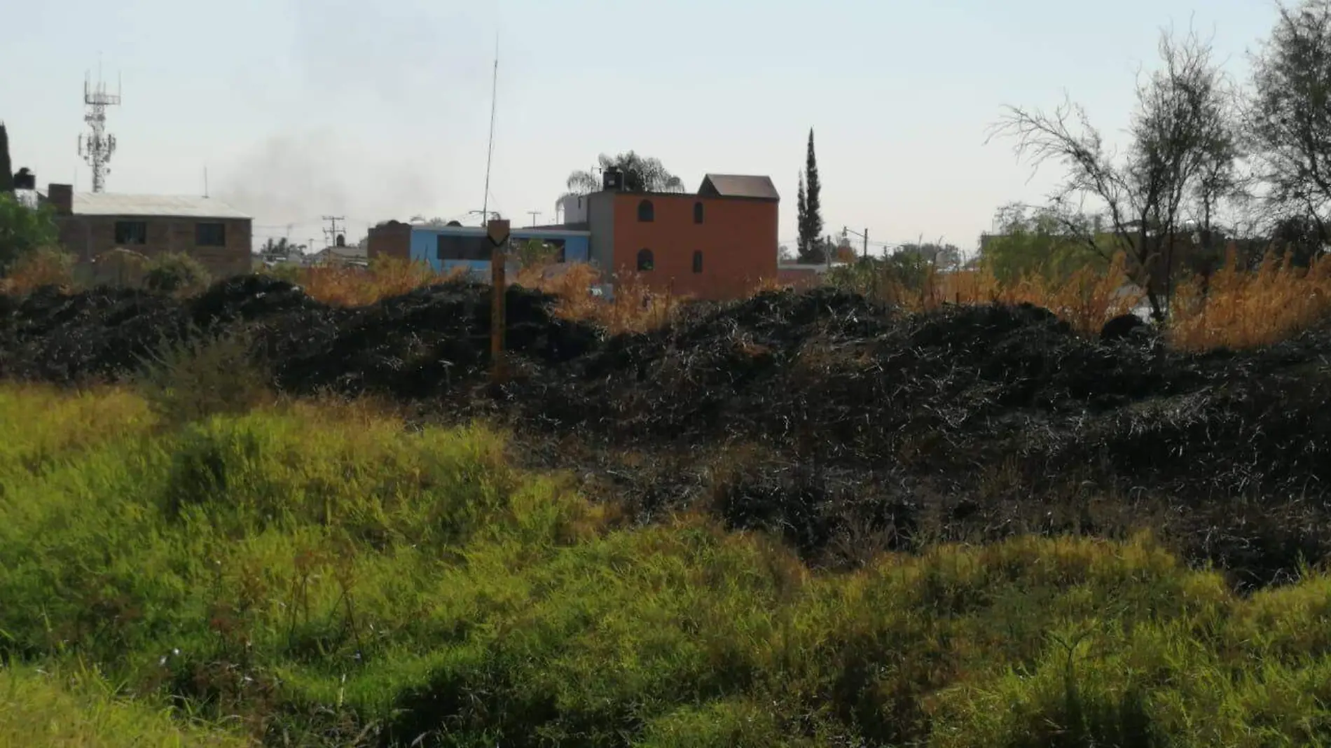 INCENDIOS EPASTIZALES CAUSAN TEMOR